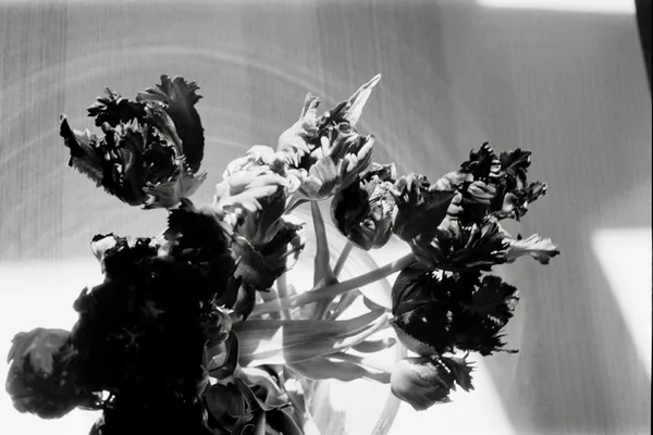 Flowers as healers