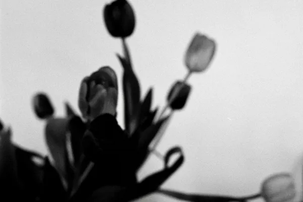 Flowers as healers