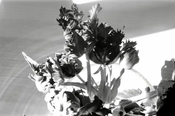 Flowers as healers