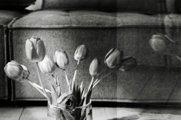 Flowers as healers